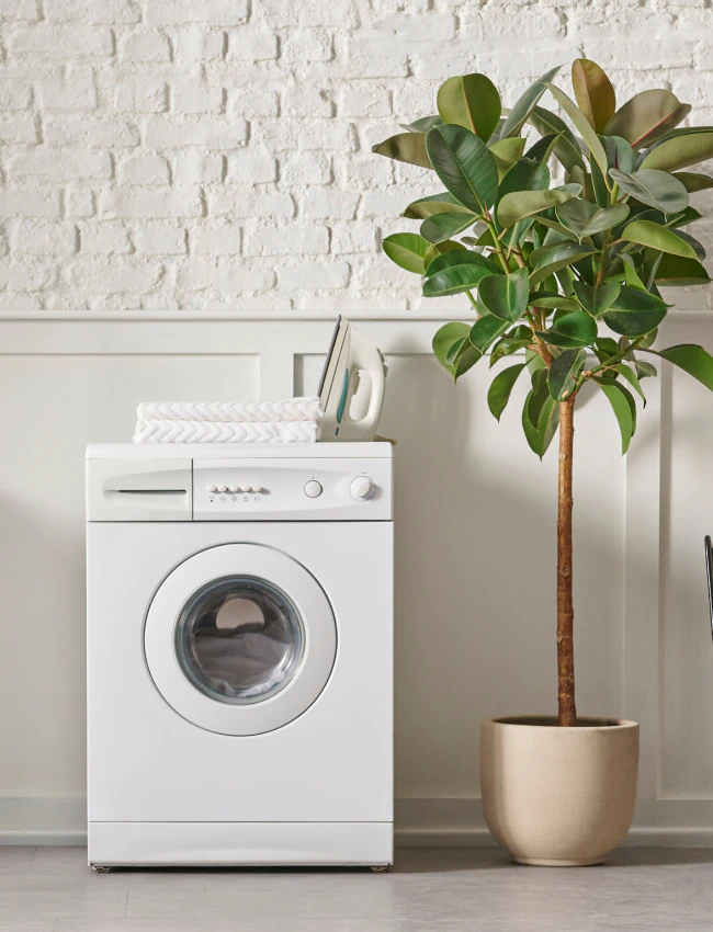 dryer machine at the laundry room